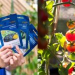 เปลี่ยนระเบียงคอนโดให้เป็นโอเอซิส!