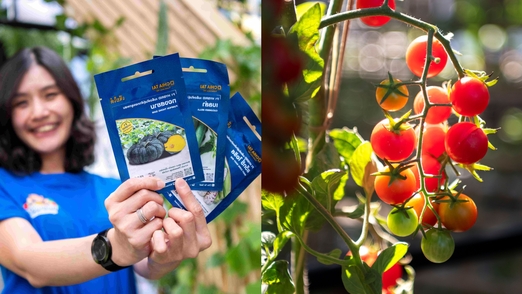 เปลี่ยนระเบียงคอนโดให้เป็นโอเอซิส!